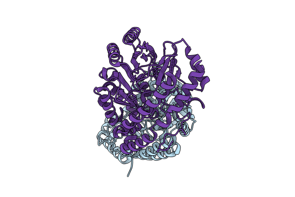 8TN2 image