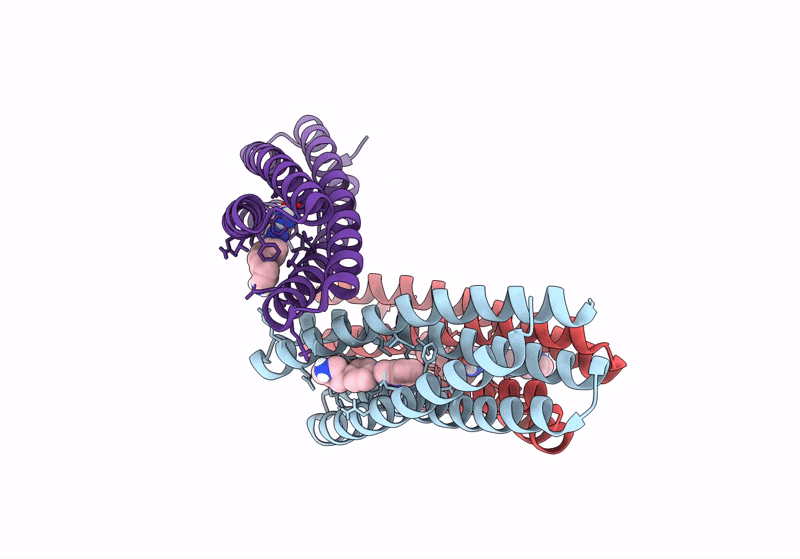 8TNC image