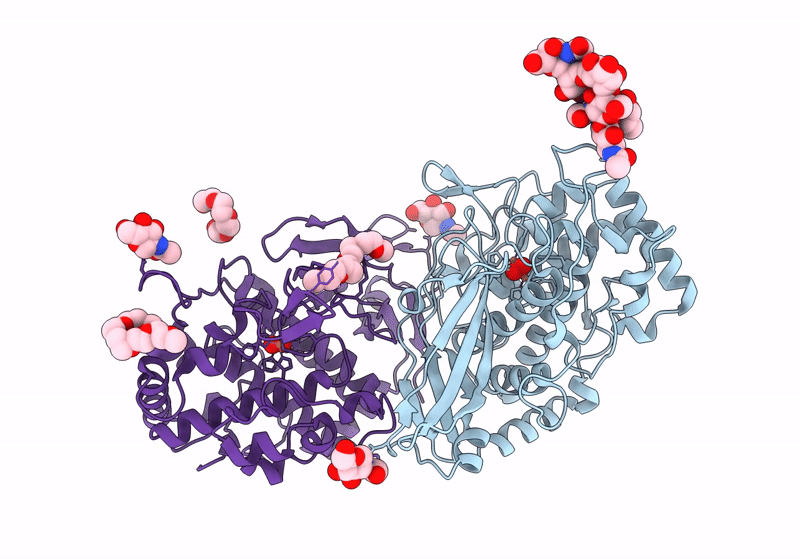 8TNV image