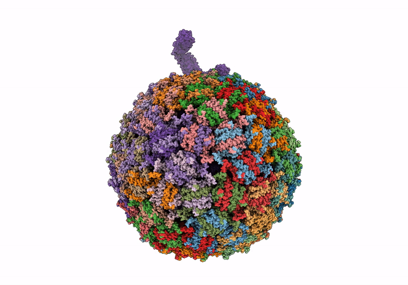 8TOC image