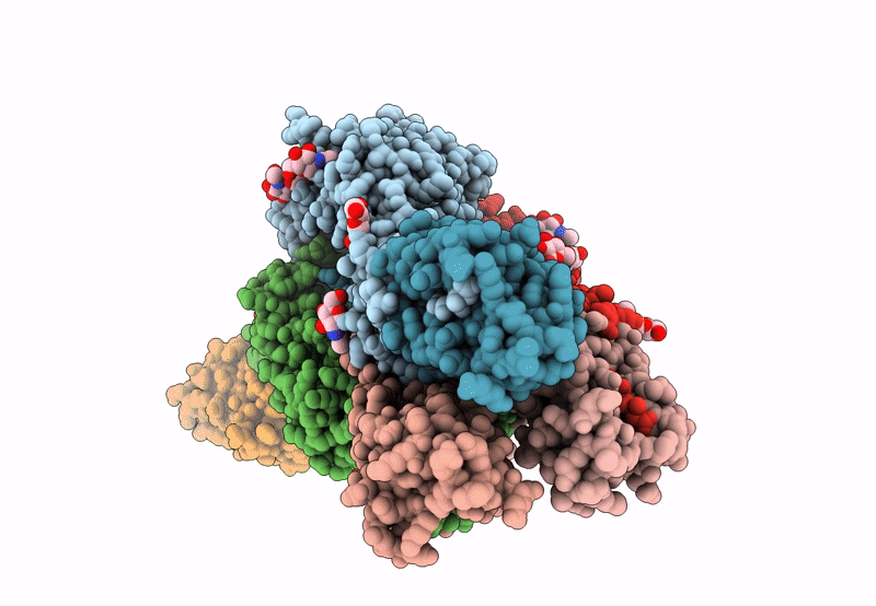 8TP3 image
