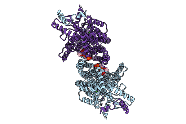 8TPS image