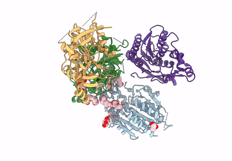 8TRF image