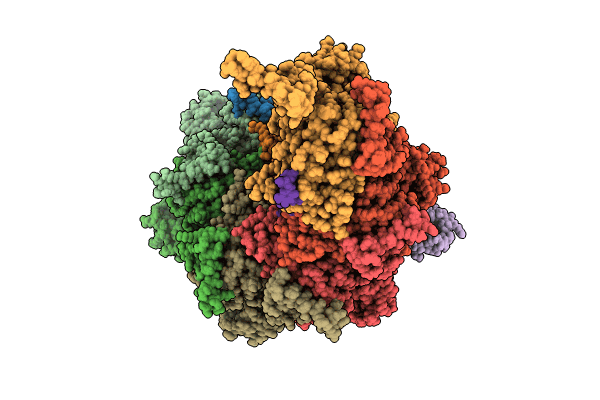 8TRG image