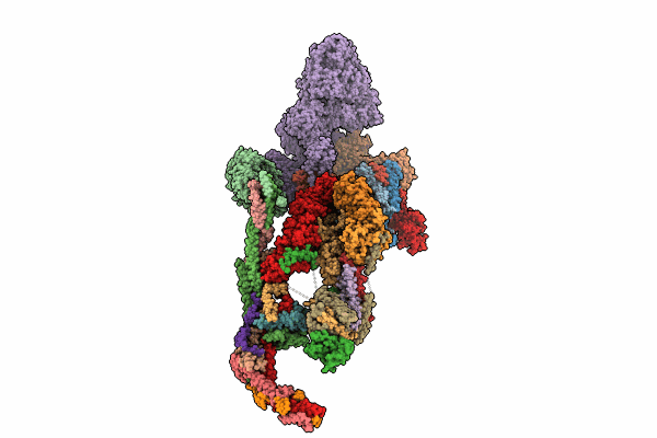 8TRH image