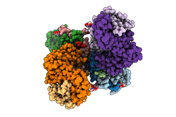 8TRL image