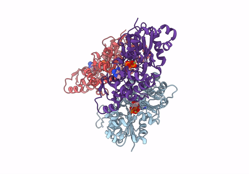 8TRM image