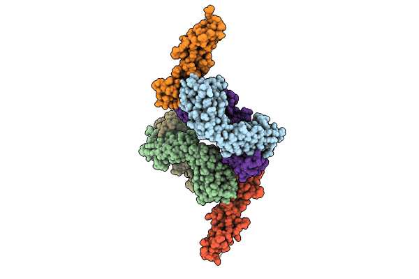 8TRT image