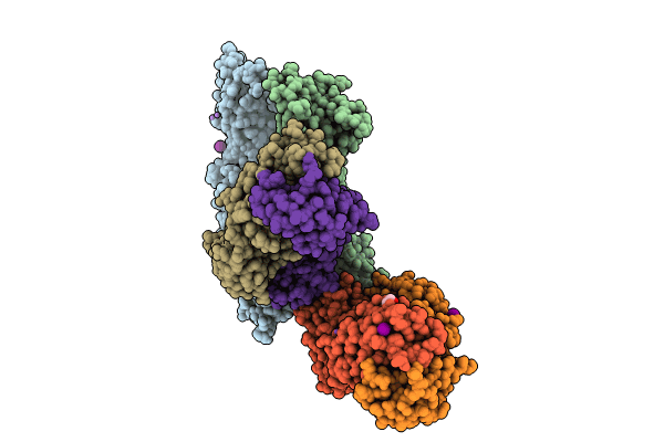 8TRV image