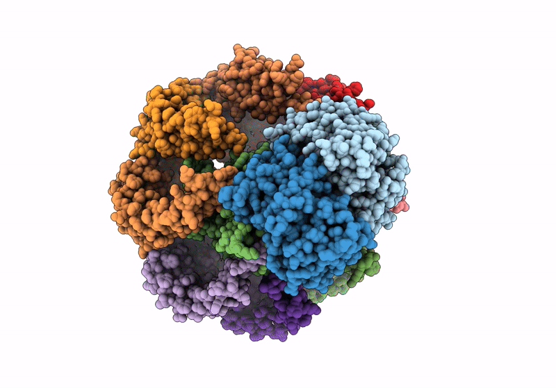 8TSI image