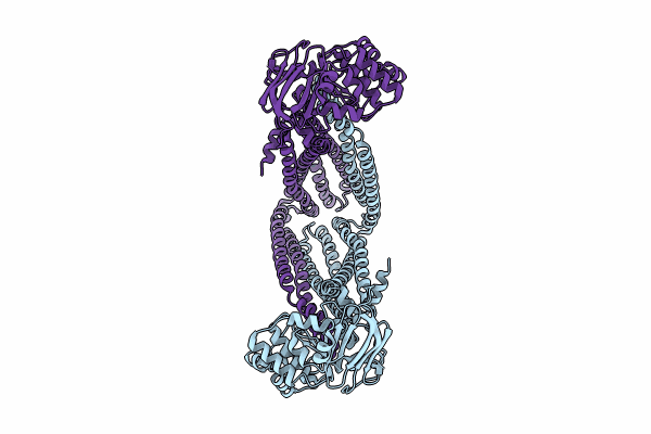8TSR image