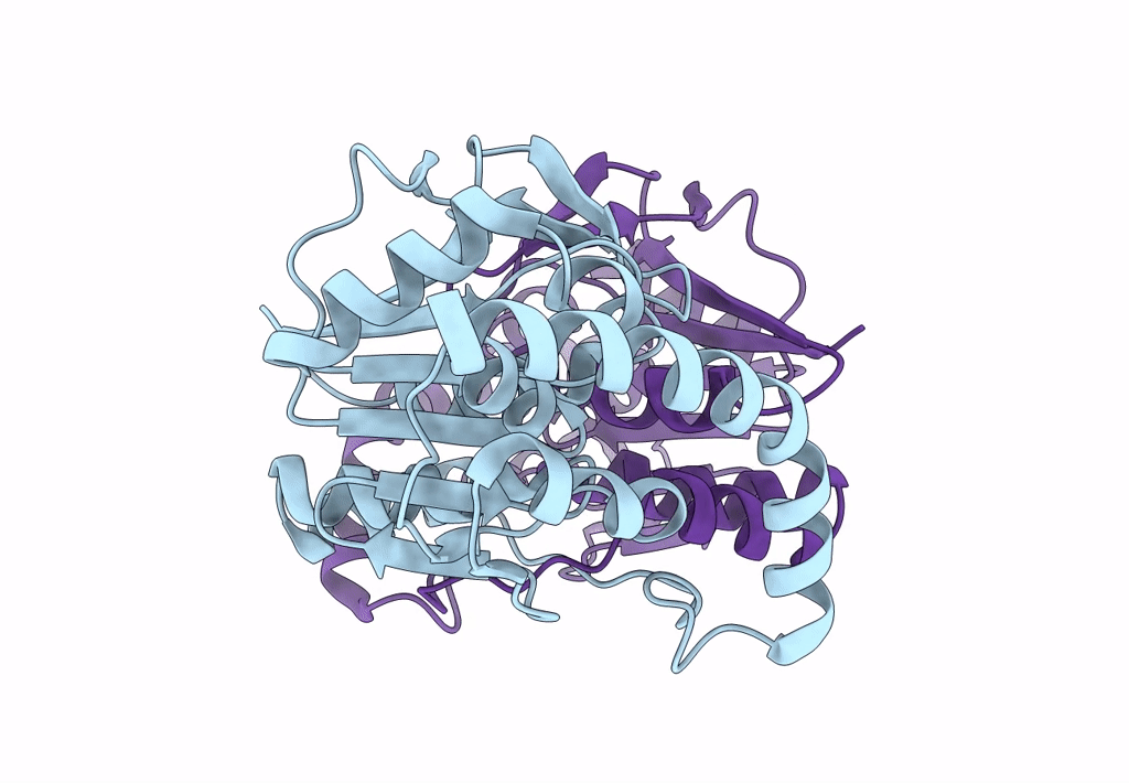 8TSX image