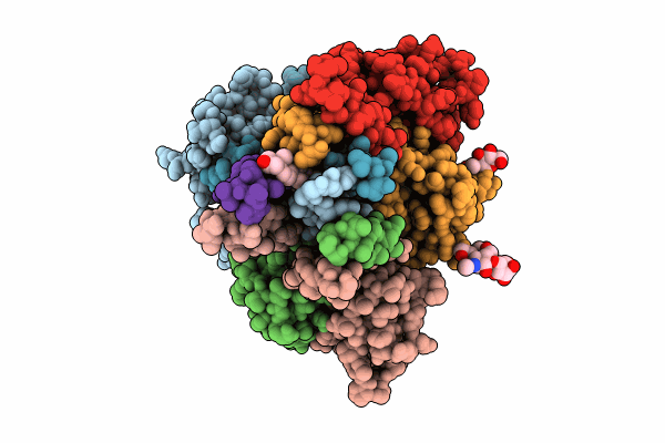 8TW6 image