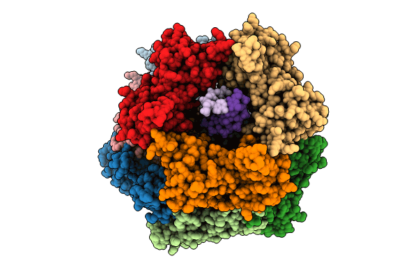 8TWB image