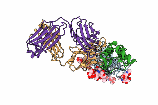 8TXP image