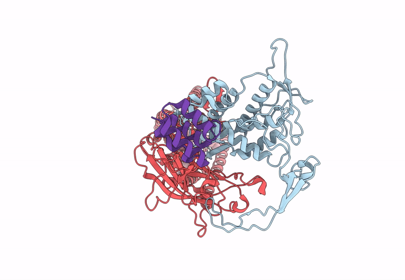 8TZP image