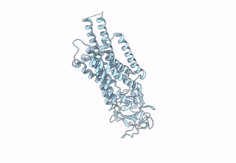 8TZS image