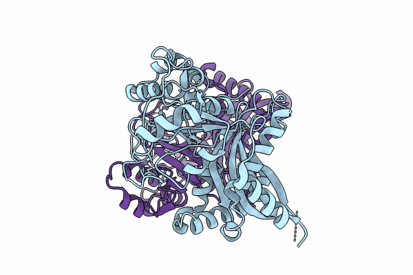 8TZV image