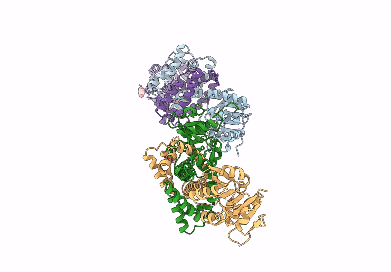 8U04 image