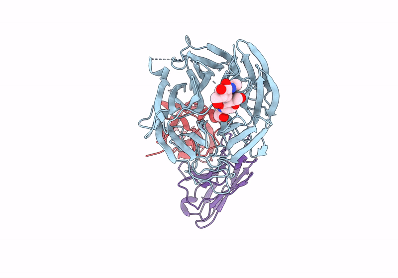 8U1C image