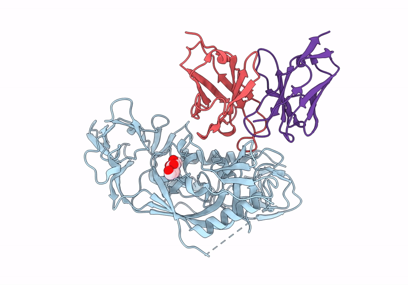 8U1D image