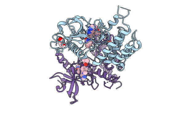 8U1F image