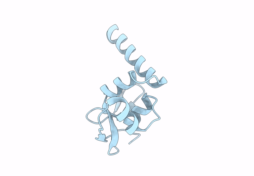 8U1J image