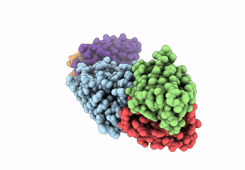 8U1P image