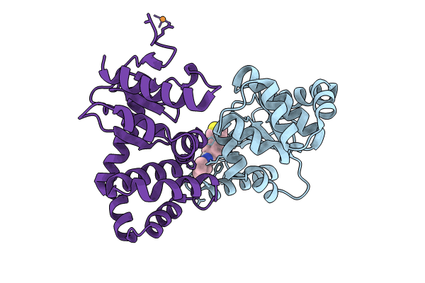 8U1Y image