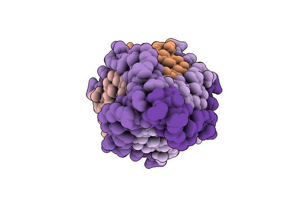 8U2B image
