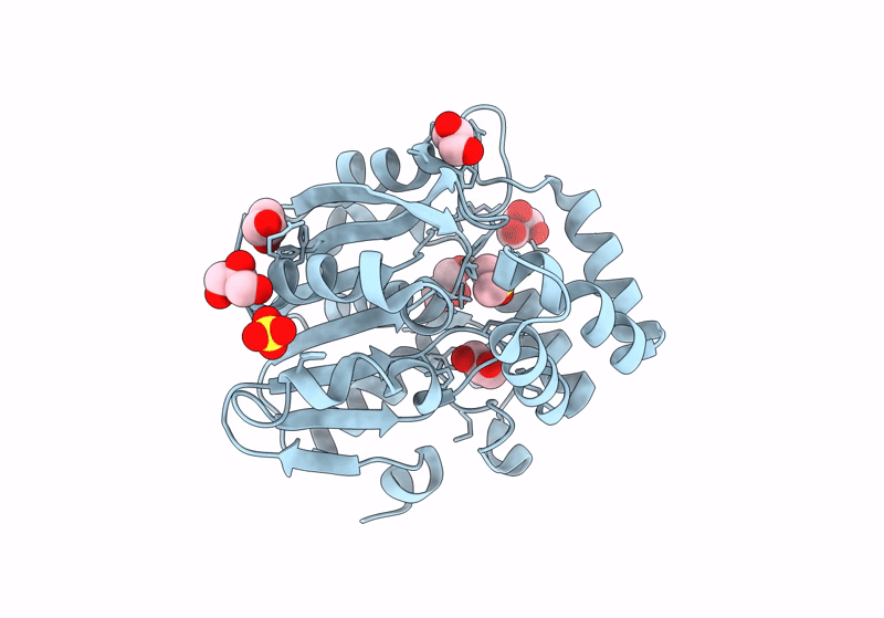 8U33 image