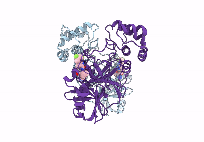 8U40 image