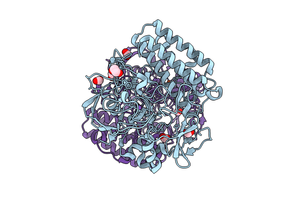 8U42 image