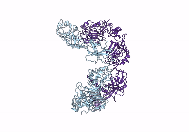 8U4B image