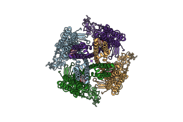 8U4D image