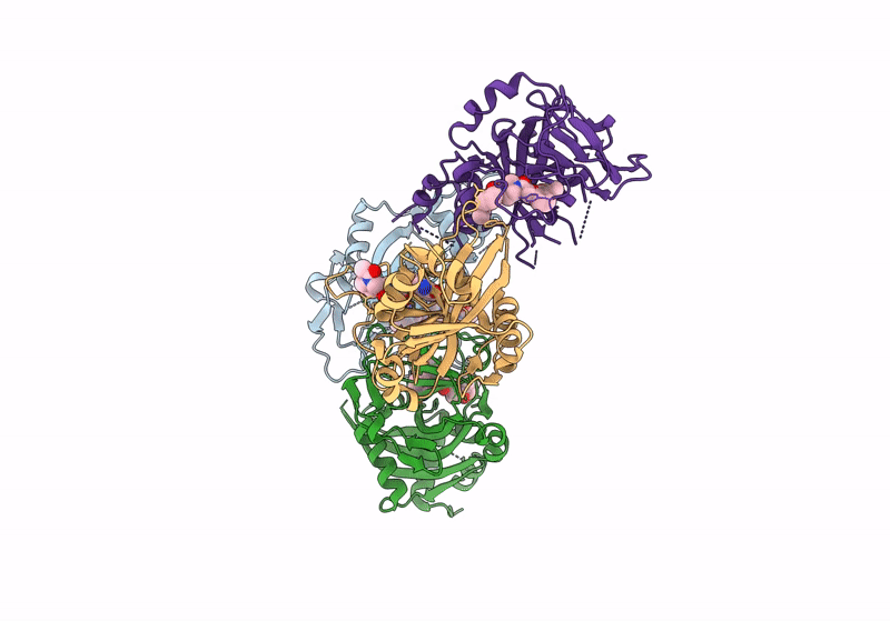 8U4W image