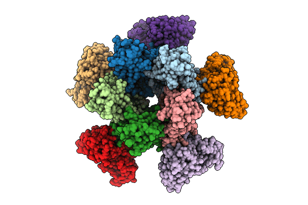 8U5L image