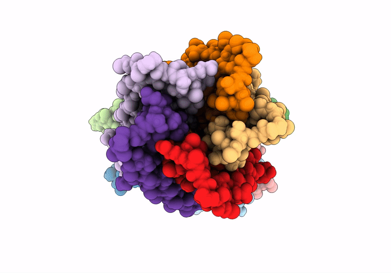 8U5W image