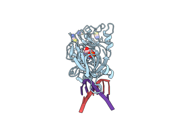 8U6X image