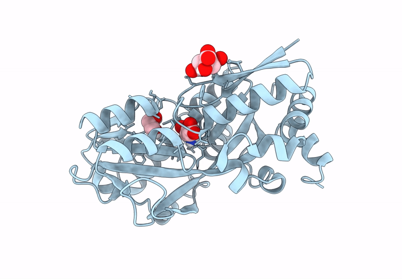 8U79 image