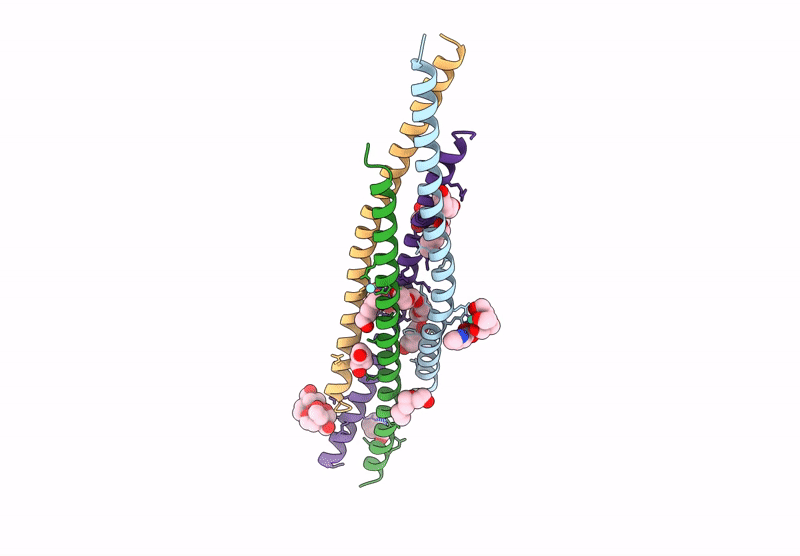 8U7C image
