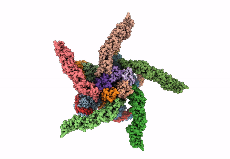 8U83 image