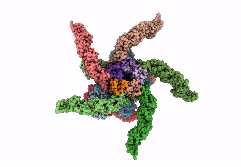 8U84 image