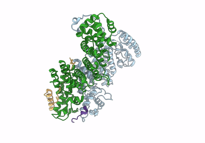 8U8C image