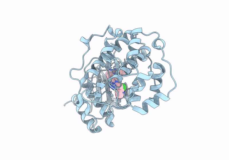 8U8K image