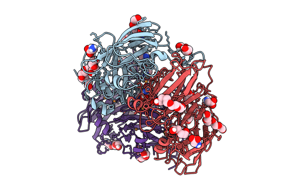 8U8R image