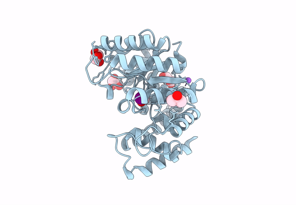 8U8W image