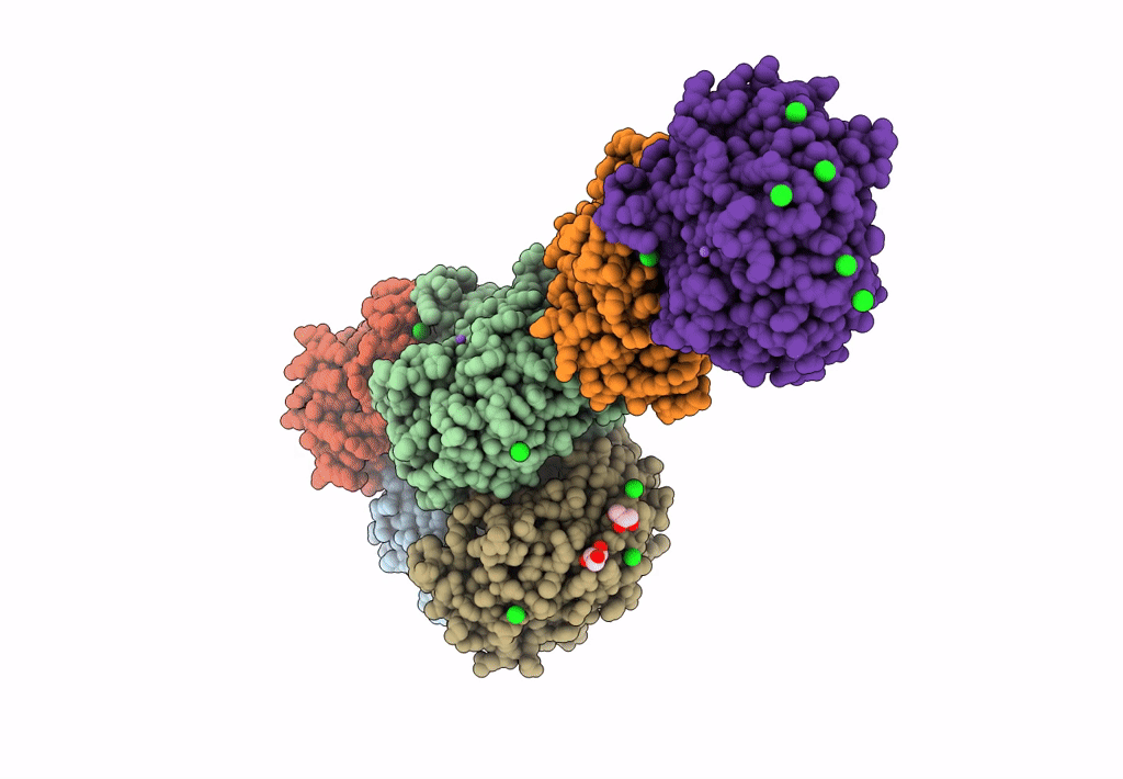 8U92 image