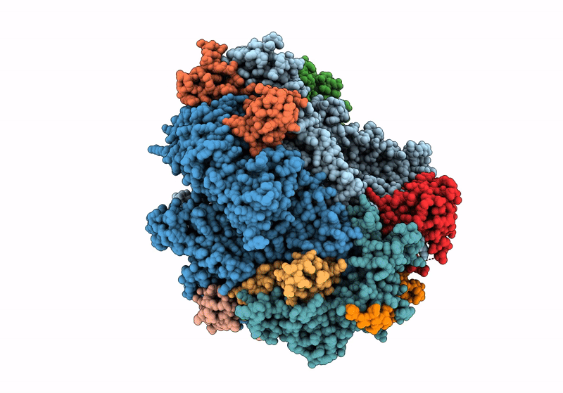 8U9X image