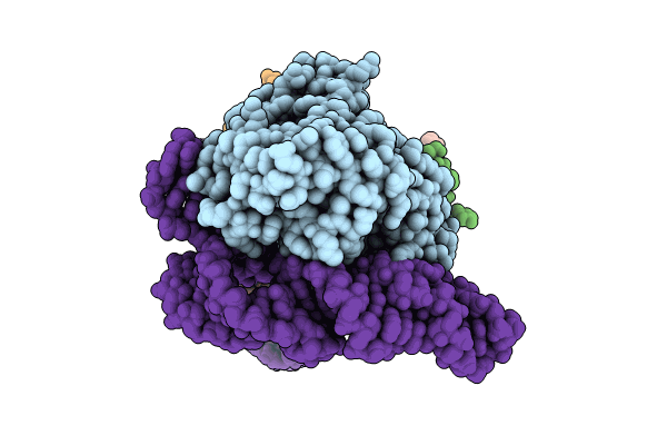 8UBF image